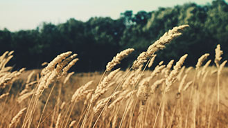 求渠道短信轰炸服务