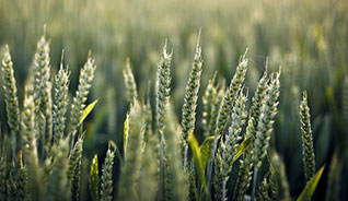 哪个渠道最靠谱的短信轰炸服务