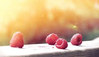 无限循环呼叫短信软件